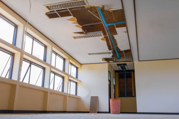 Best Flood restoration services  in Urbandale, IA