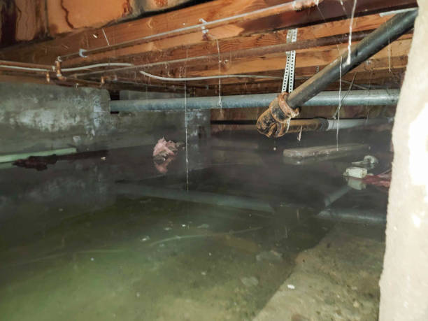 Best 24/7 water damage repair  in Urbandale, IA