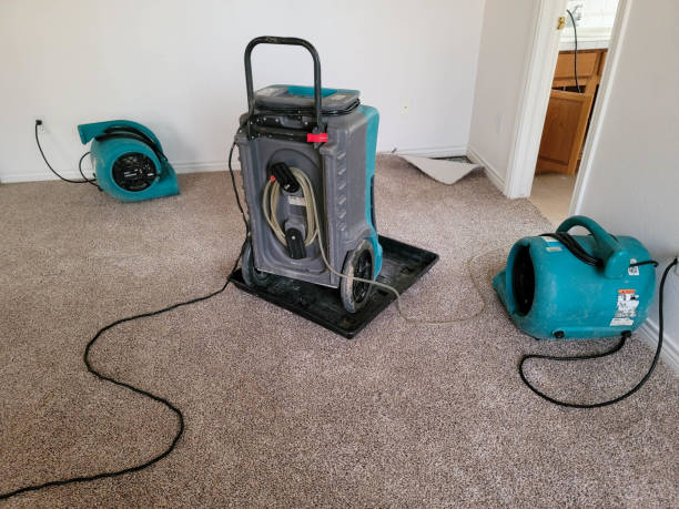 Best Water damage restoration near me  in Urbandale, IA