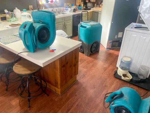 Best Water damage repair service  in Urbandale, IA